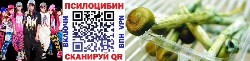 Галлюциногенные грибы Psilocybine cubensis  Советская Гавань 